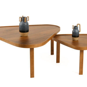 Leon Orta ve Yan Sehpa Set